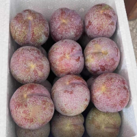 钱排银妃三华李，一件代发，招商