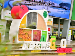 2026中国（郑州）粮油食品及农产品供应链博览会